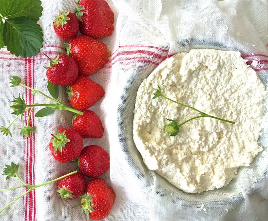 Strawberries and ricotta