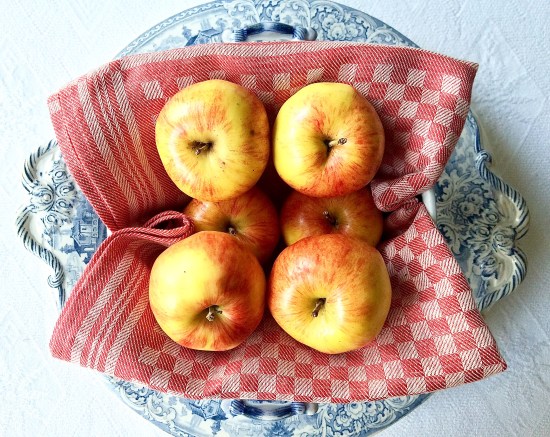 Apples on red towel