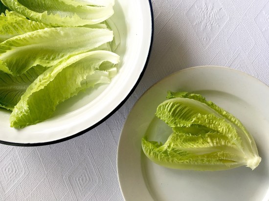 Lettuce leaves close-up